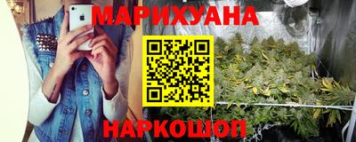 крисы Будённовск
