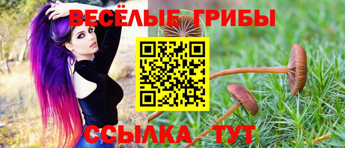 Галлюциногенные грибы Magic Shrooms  Галлюциногенные грибы ЛСД  Вход с VPN  Северодвинск 
